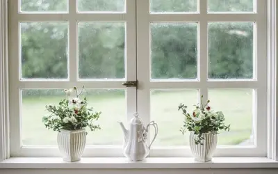 Blanka spröjsade fönster med blommor i fönsterkarmen